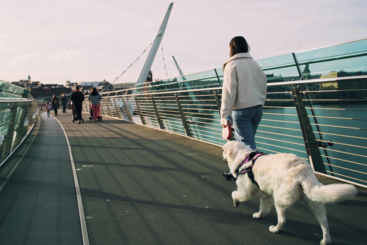Dog Friendly Itinerary Derry~Londonderry - 04