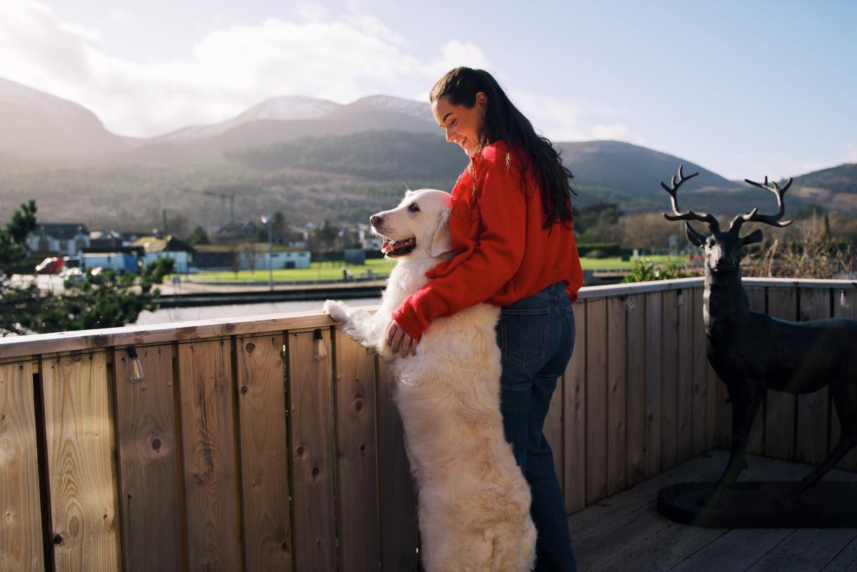 Dog Friendly Itinerary Down - 02