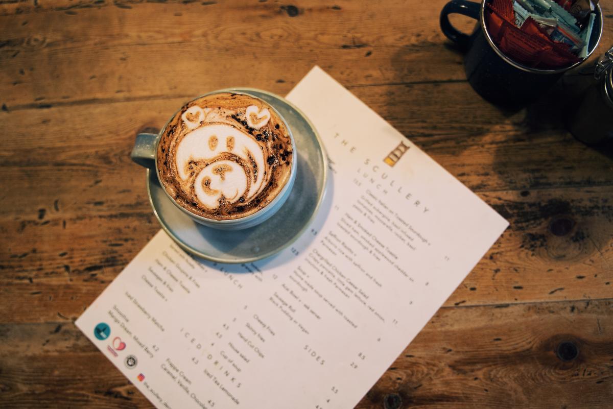 Dog Friendly Itinerary Derry~Londonderry - 11