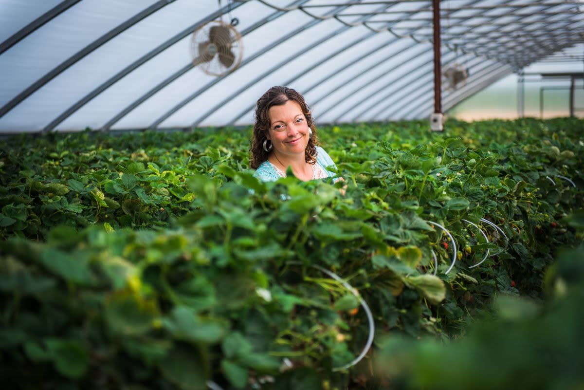 woman harvesting