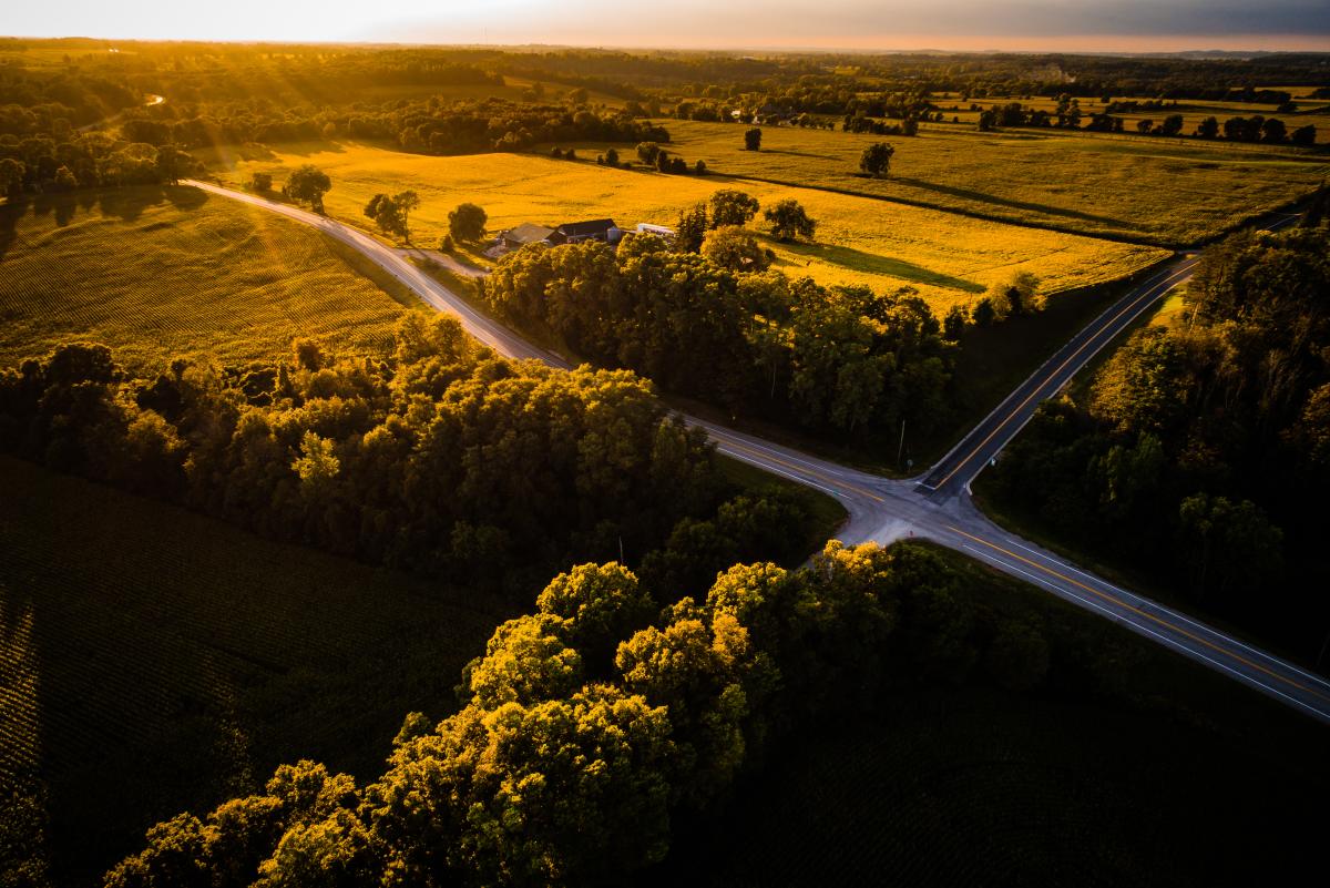 a couple resting on a car by the side of the road