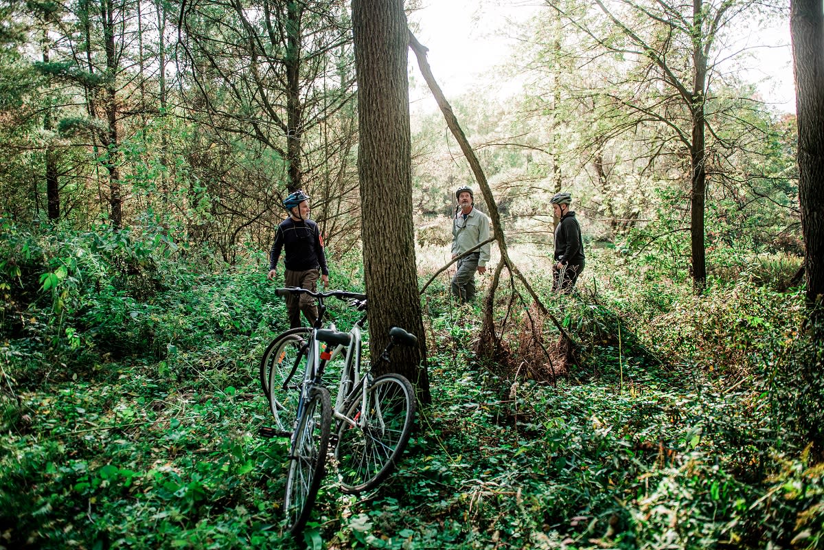 Grand Experiences Forest Men Cycling