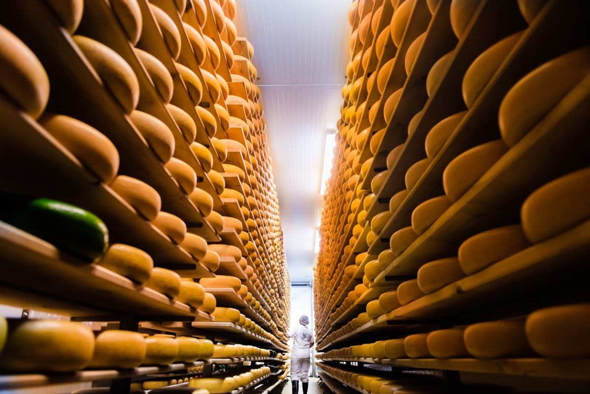 Cheese Trail
