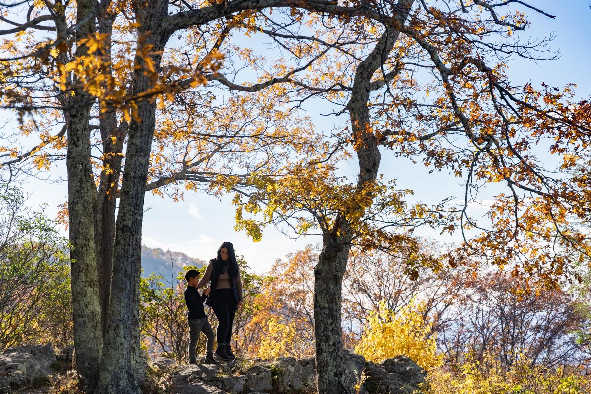 Shenandoah National Park