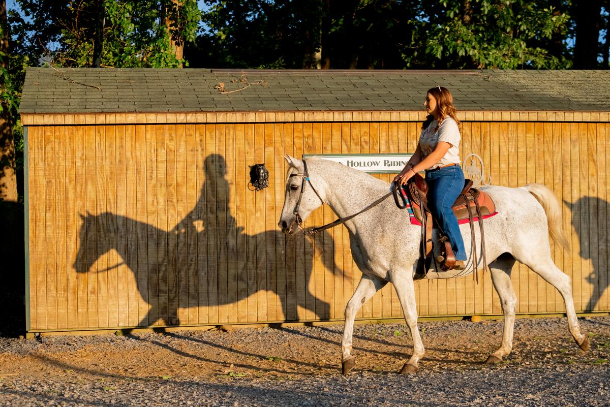 Horseback Riding at Jordan Hollow Stables