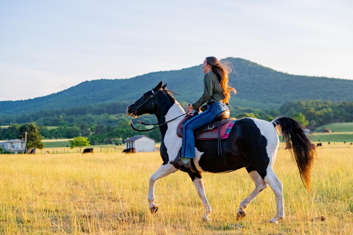 Horseback Riding with Jordan Hollow Stables