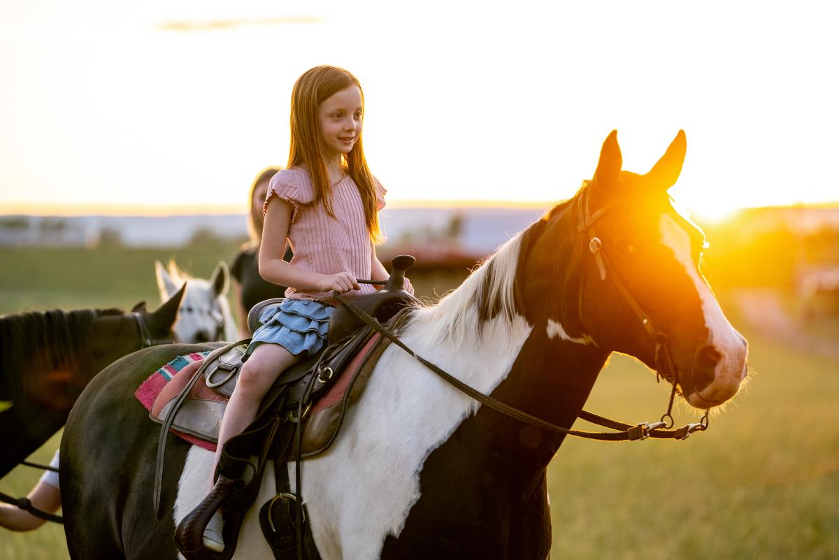 Jordan Hollow Stables