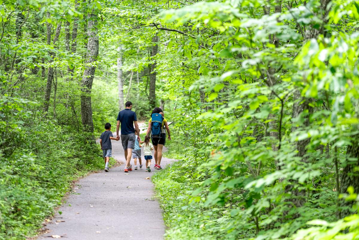 Family Hike in Page Valley, VA