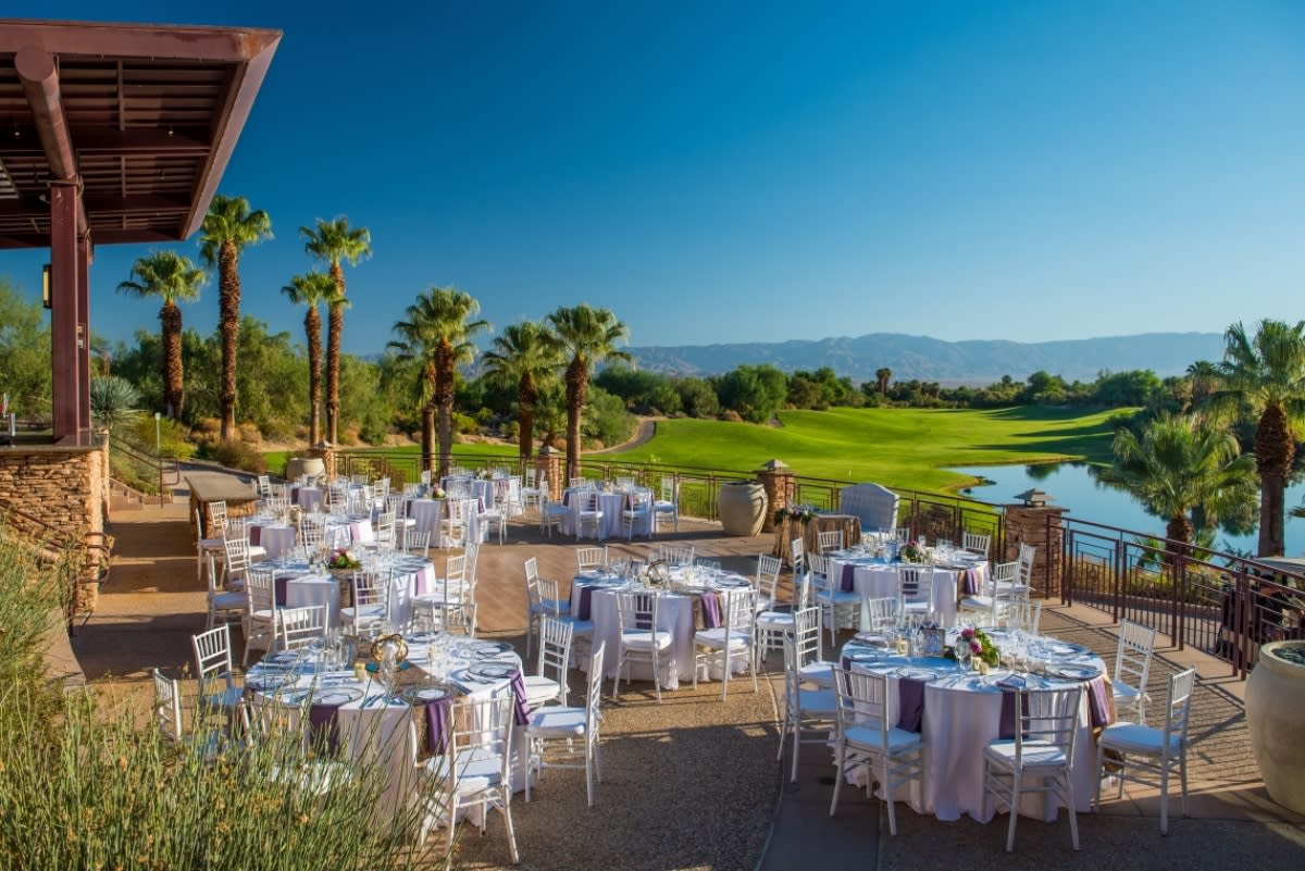 Desert Willow