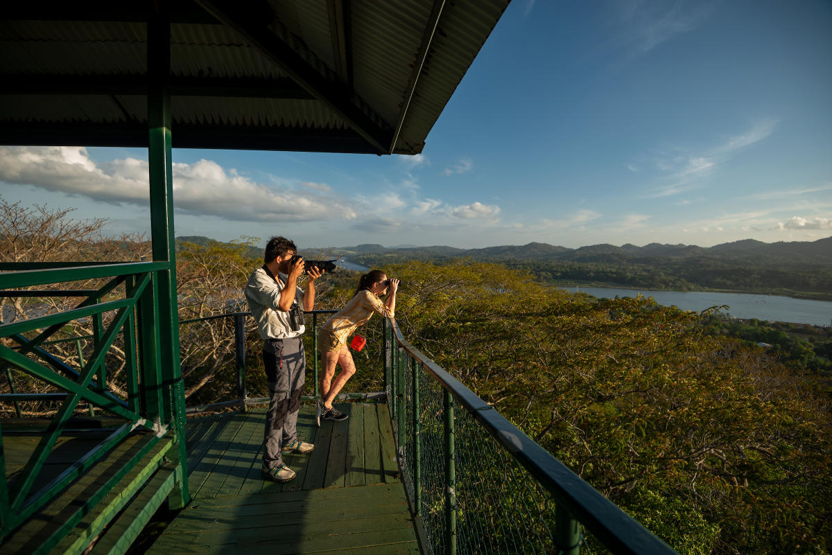Gamboa Rainforest Reserve, Province of Panama