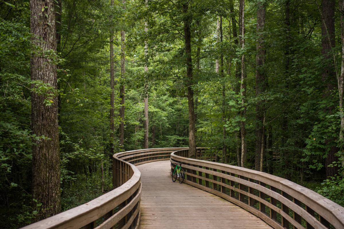 White Oak Creek Greenway