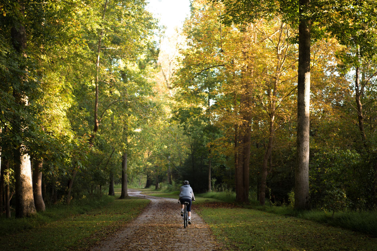 Bike rider on open greenway with fall colors