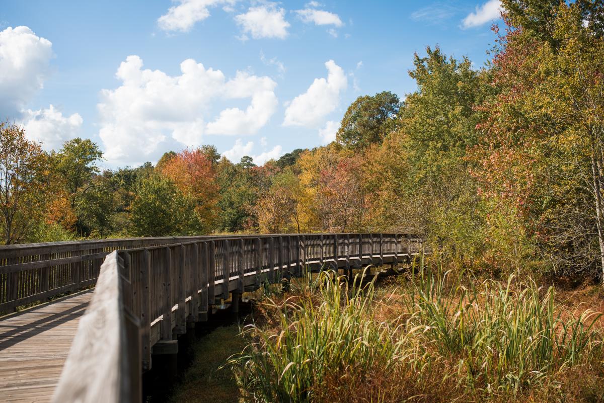 Mingo Creek Trail Knightdale