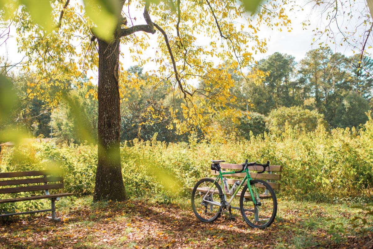 Anderson Point Park Bike