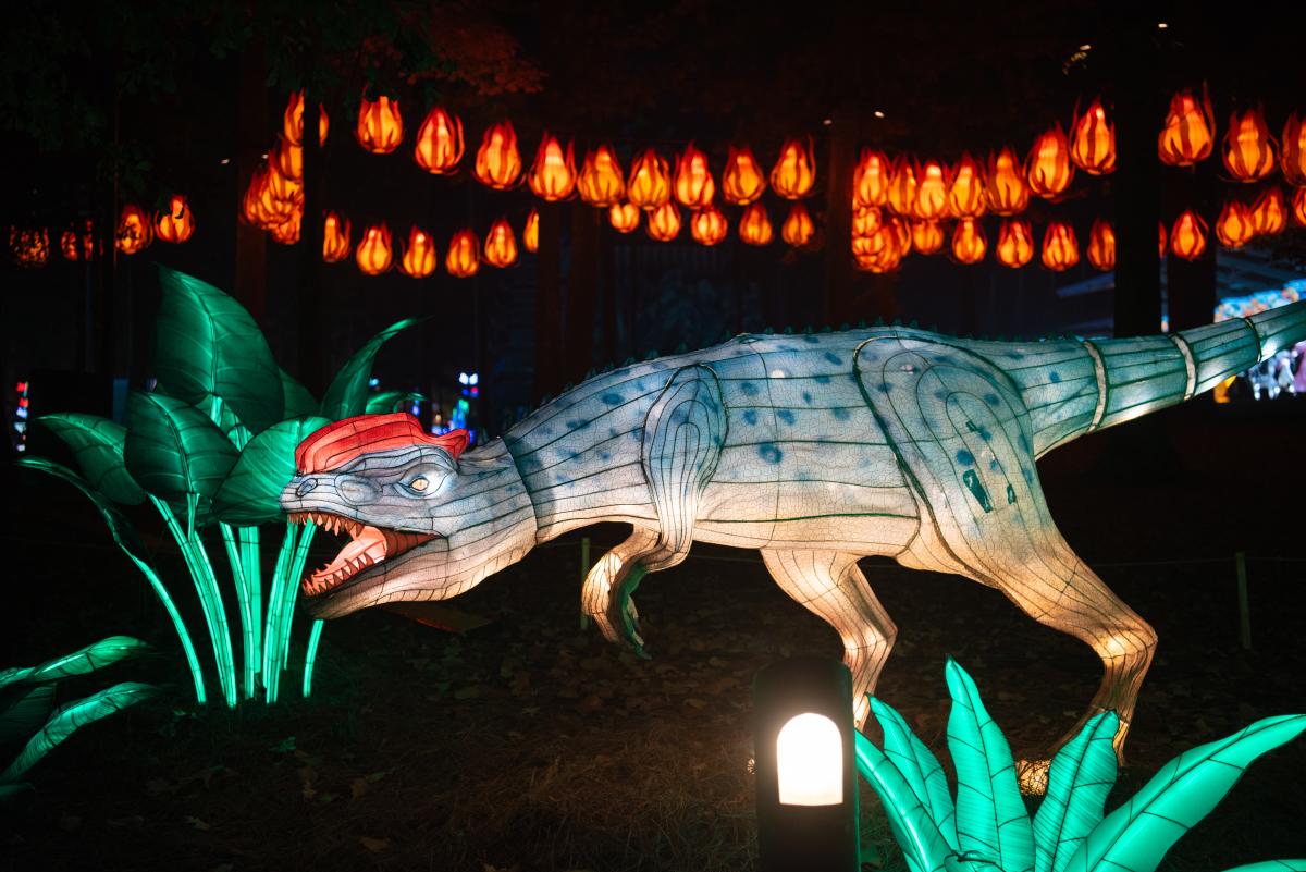Chinese Lantern Festival 2024