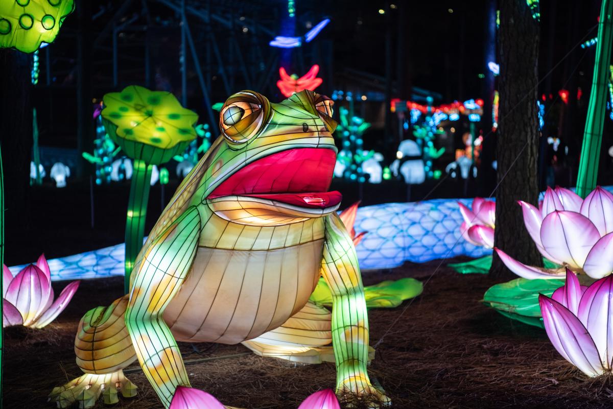 Chinese Lantern Festival 2024