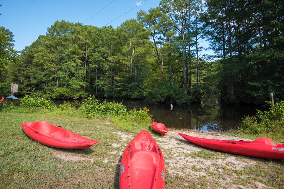 Robertson Millpond Kayak