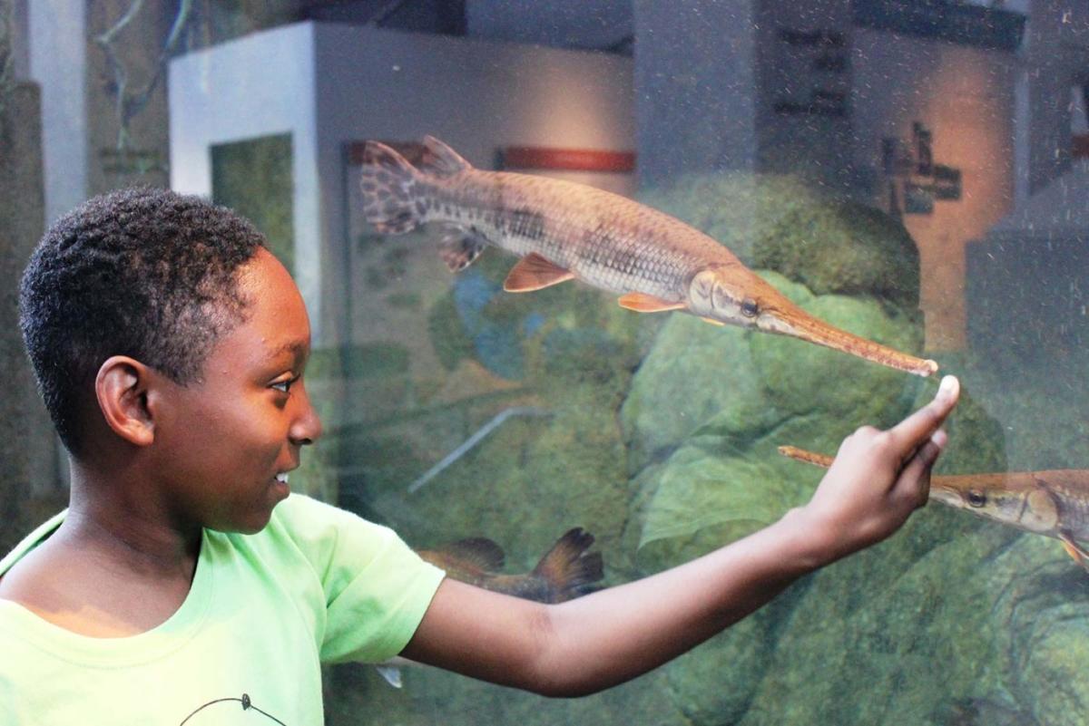 Robins Nature Center