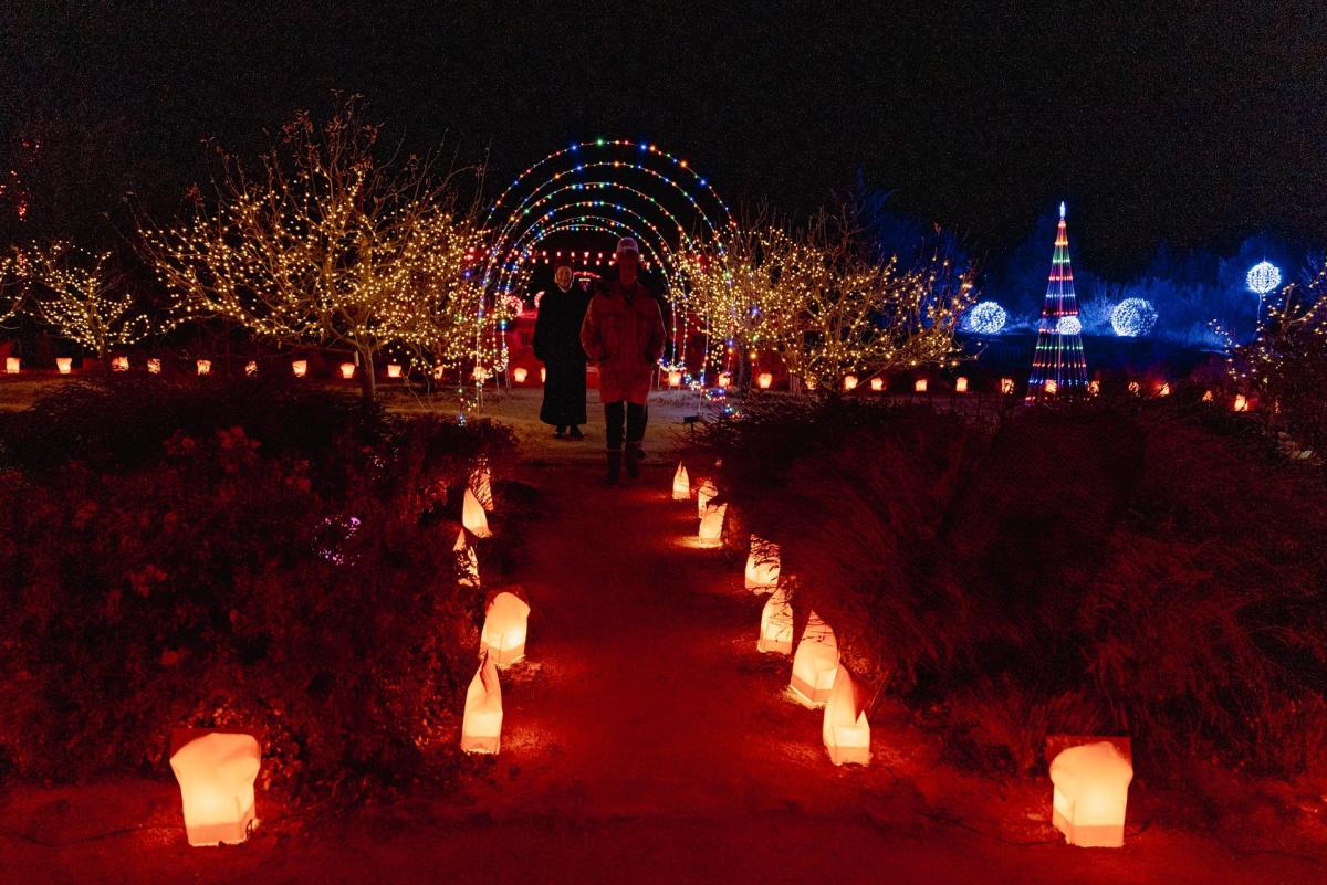 La Luz de las Noches