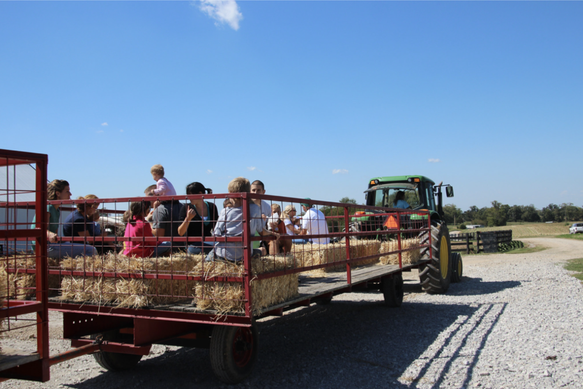 Gallrein Farm