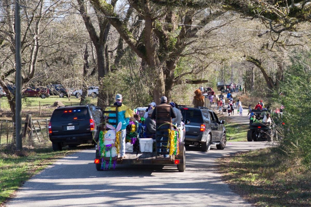 Krewe of Bush parade in Bush