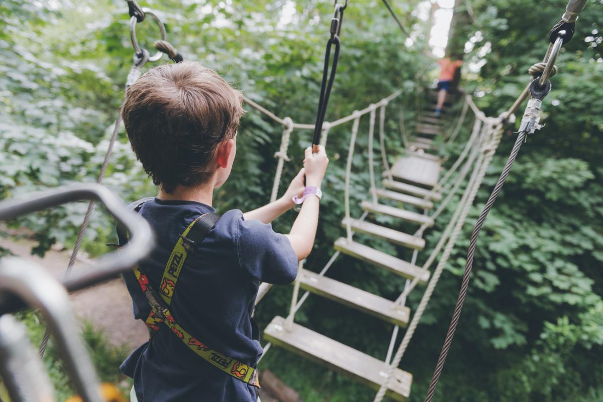 Children walking over rope bridges at Wild Wood Adventure, Guildford