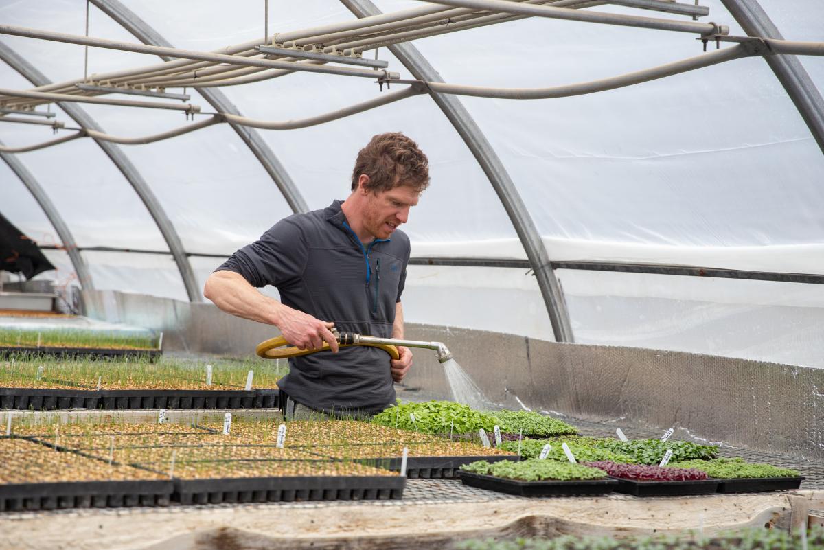 2020-March-Josh-at-Market-Garden-Greenhouse-SMW-13-credit-Sarah-Webb-for-Shelburne-Farms.jpg