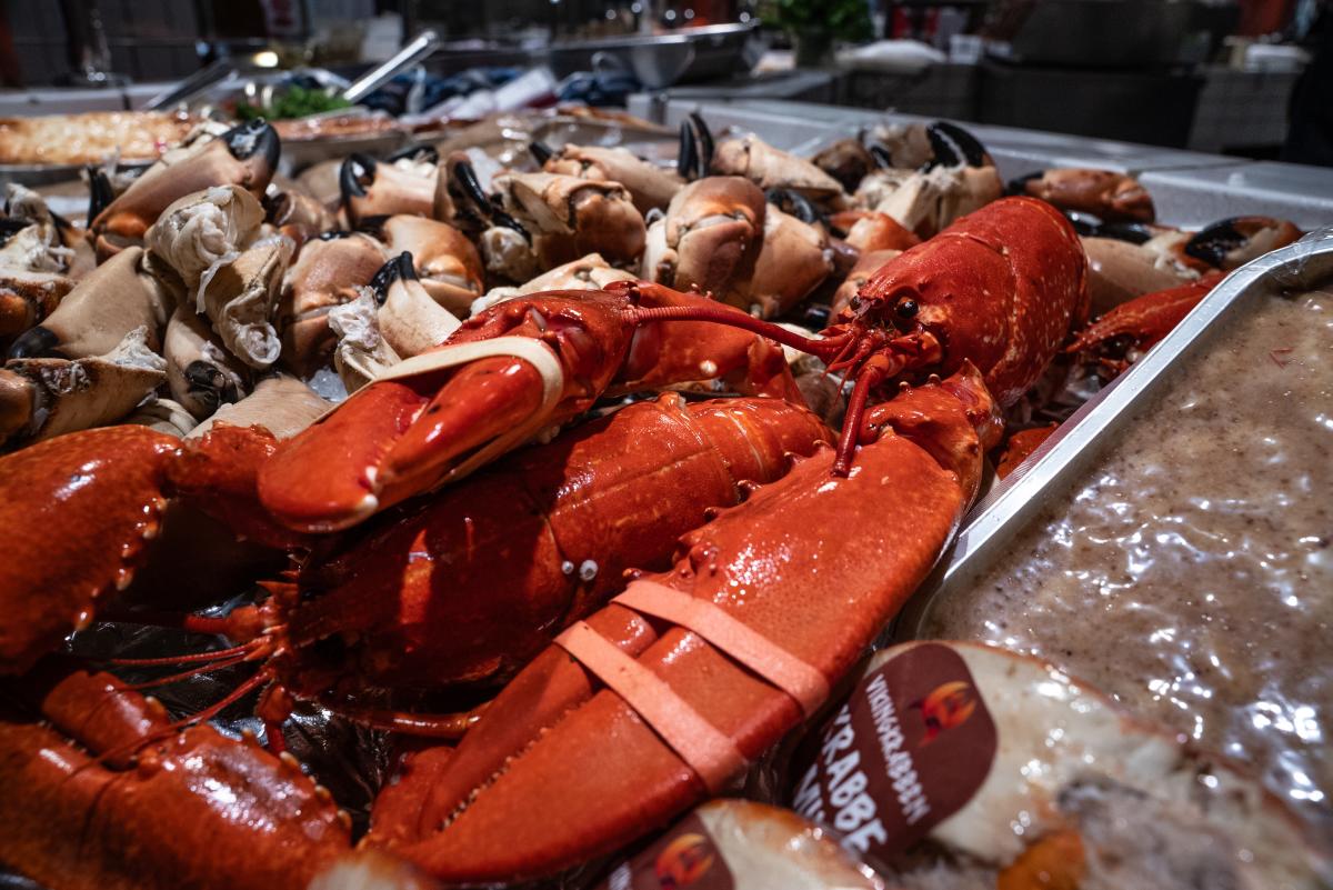 Kokt hummer i disk fra Reinhartsen