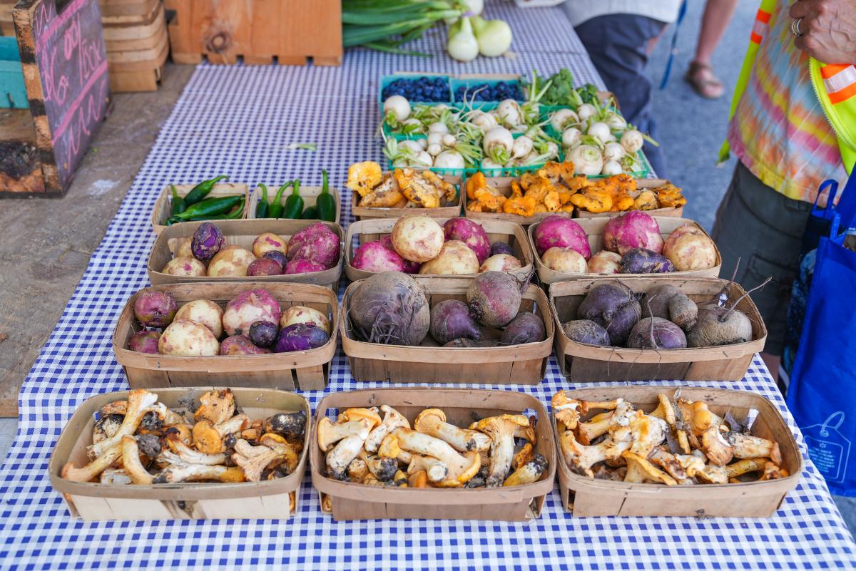 Glens Falls Farmers Market