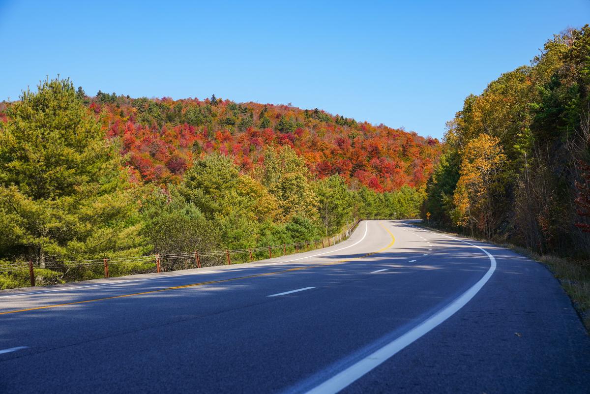 Graphite Mountain Road