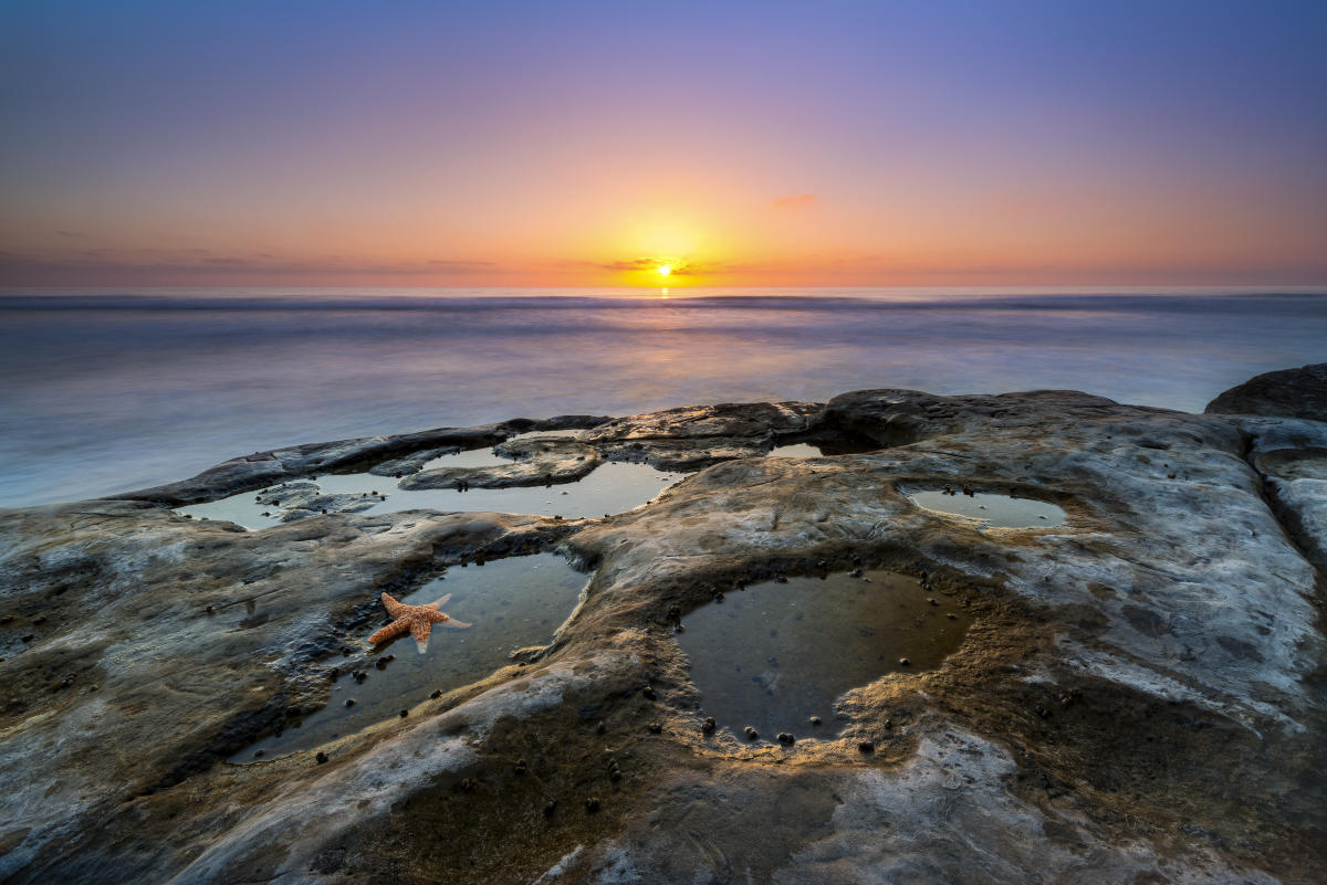 Tide Pool San Diego Beach