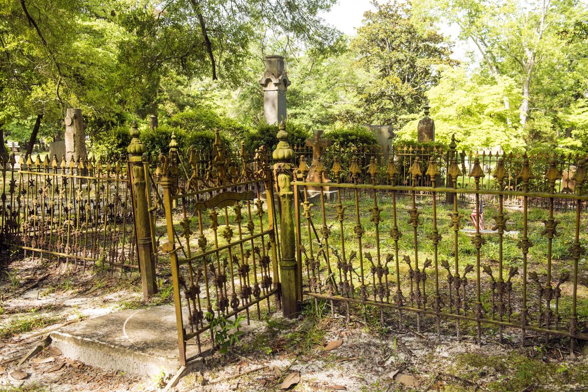 A wrought iron fence at Bellevue Cemetery in Wilmington, NC