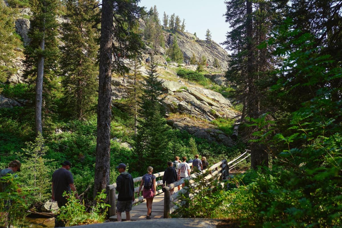 Hikers walking along a trail in the woods and over a small bridge.