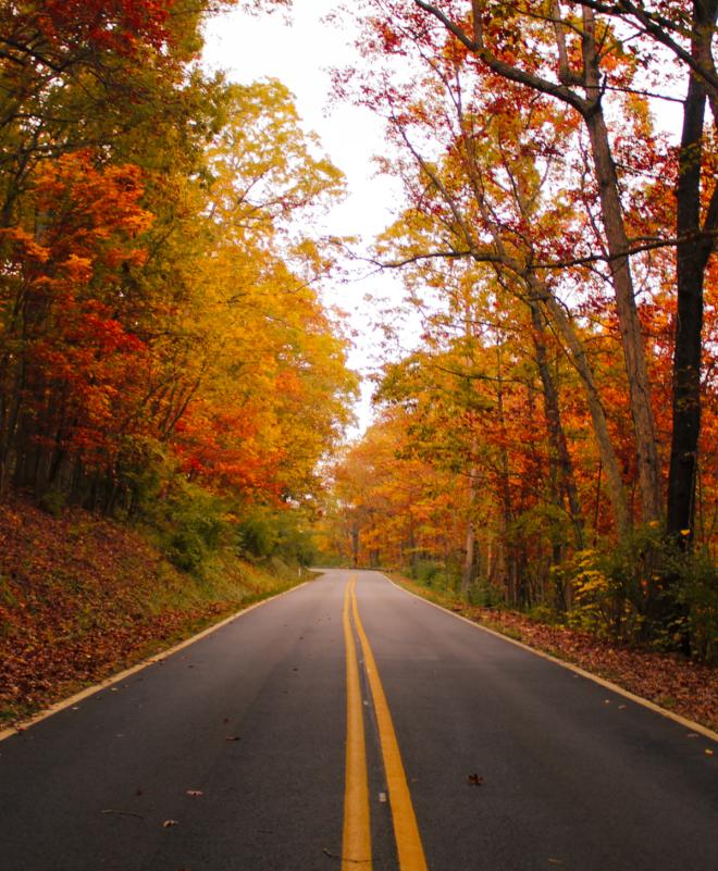 Fall Colors - Blue Ridge Parkway - Virginia