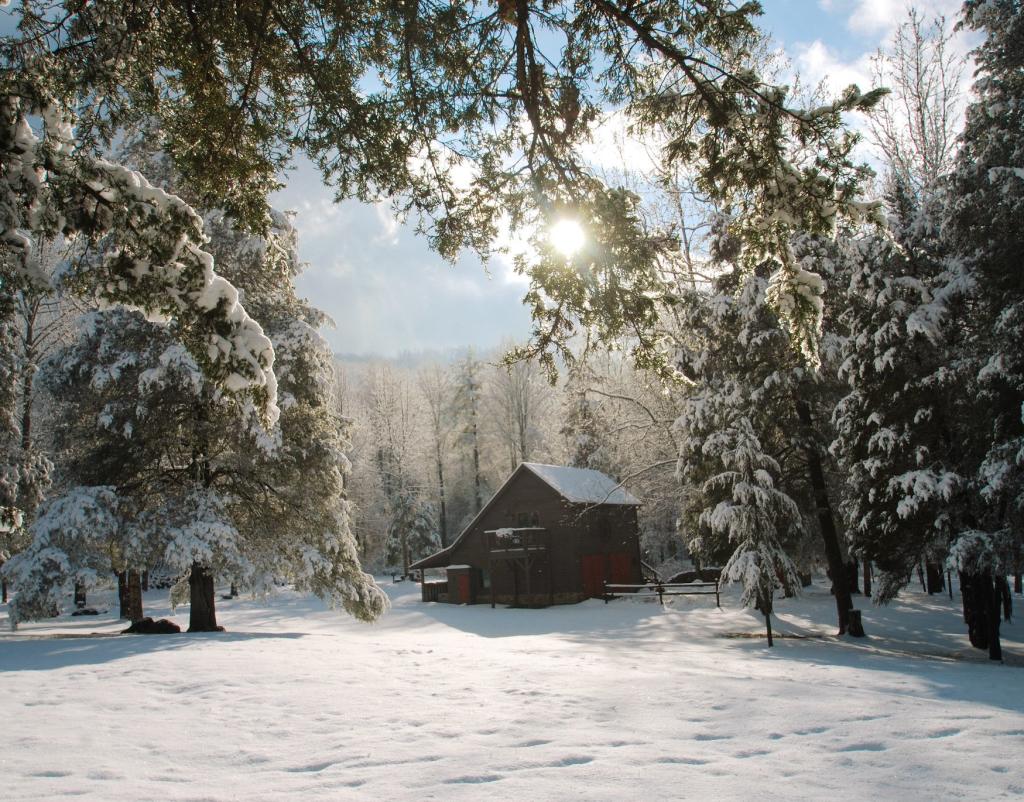 4 Log Cabins Perfect For The Holiday Season In VA: How Much House