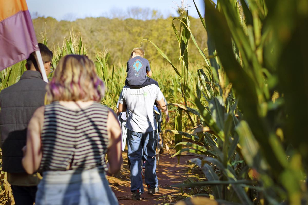 Rural Hill Corn Maze