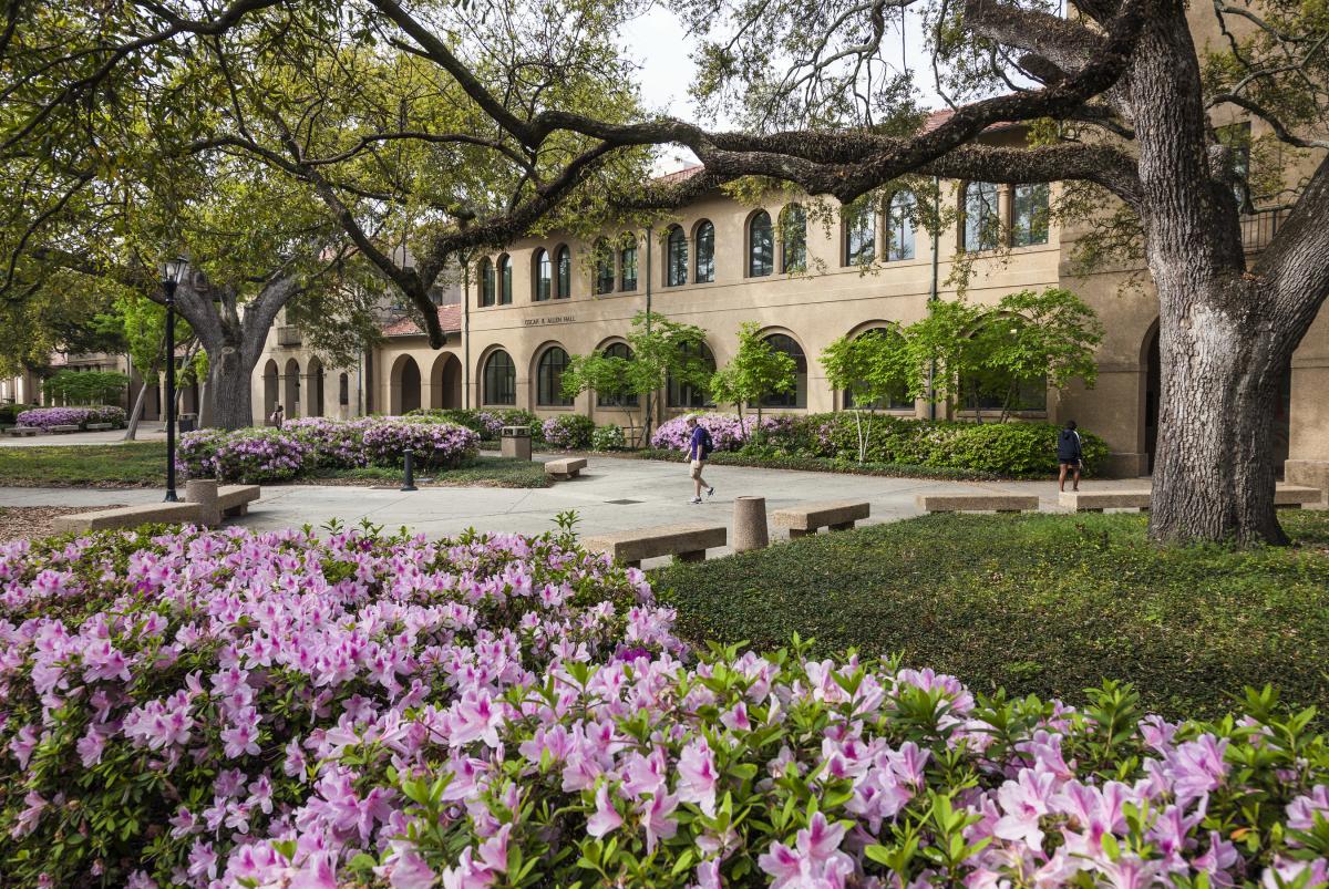 Photo of Oscar K. Allen Hall at LSU