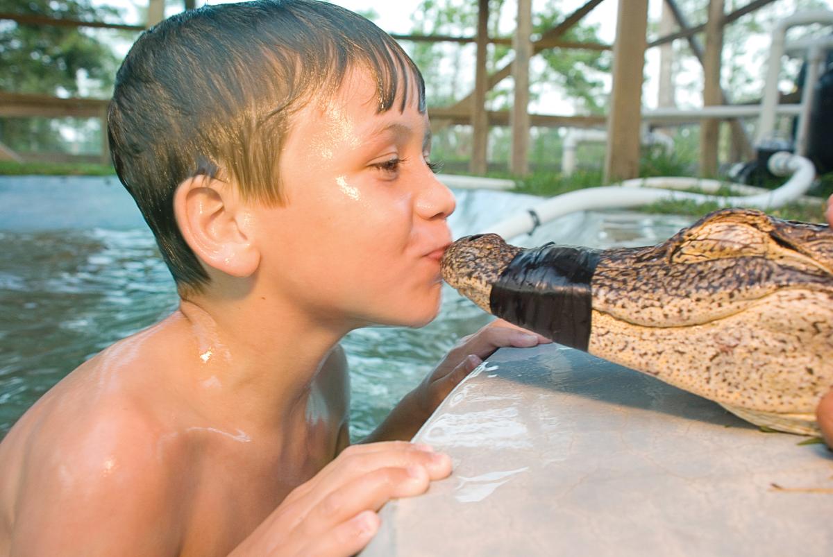 Boy plants a kiss on a gator at the Gator County Adventure Park and Animal Sanctuary.