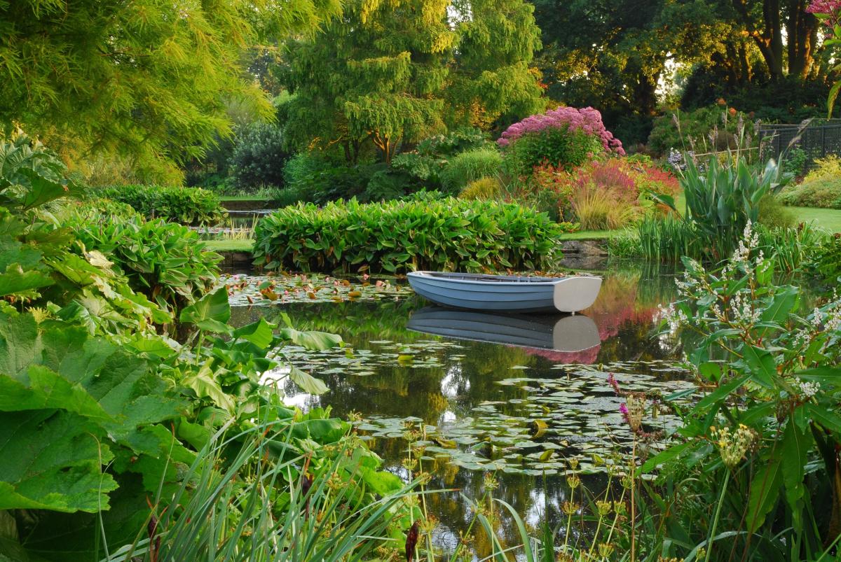 Leafy Beth Chatto Gardens with a boat on the lake