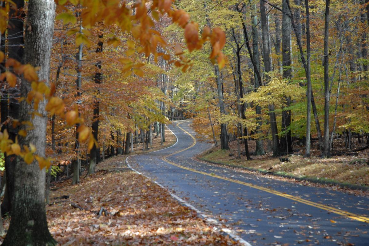 Fall Color Roads