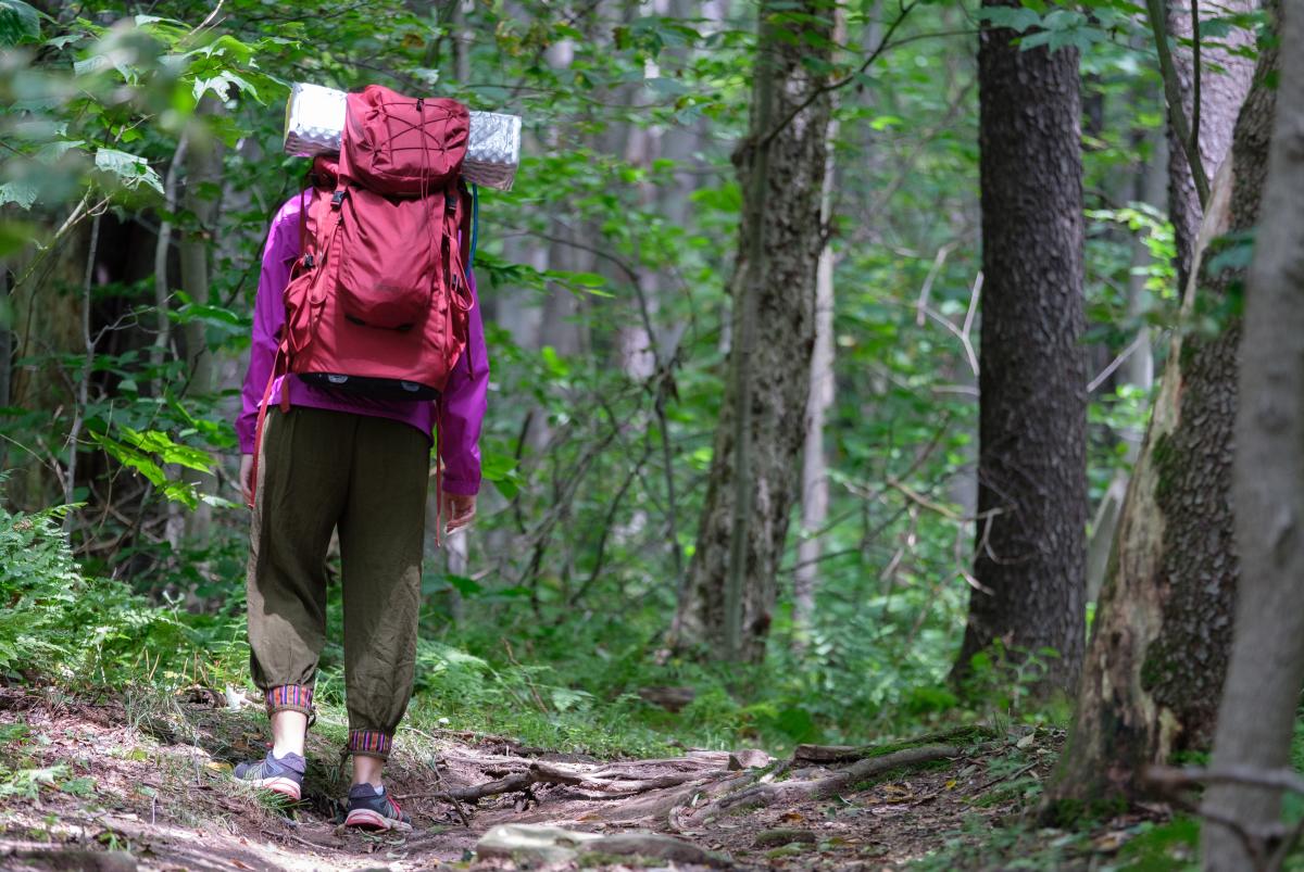 Laurel Highlands Hiking Trail