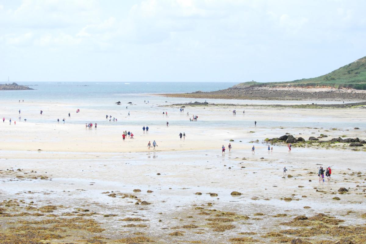 Low Tide