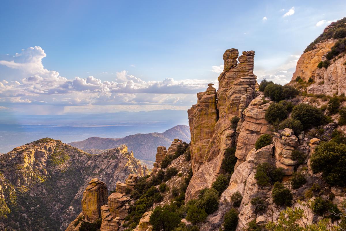 Mount Lemmon