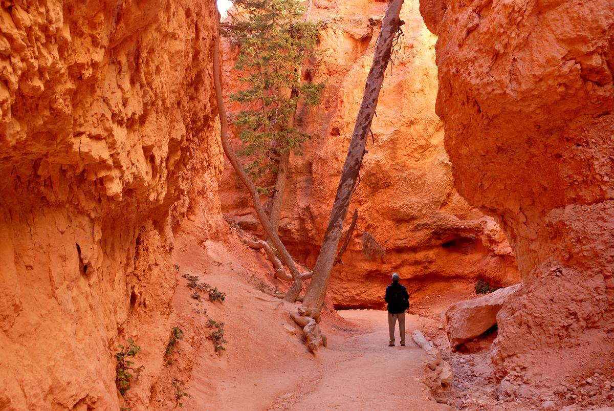 Bryce Canyon National Park Navajo Loop