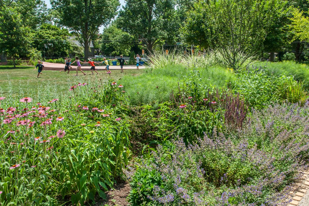 Flowers and children at the Ardmore Park