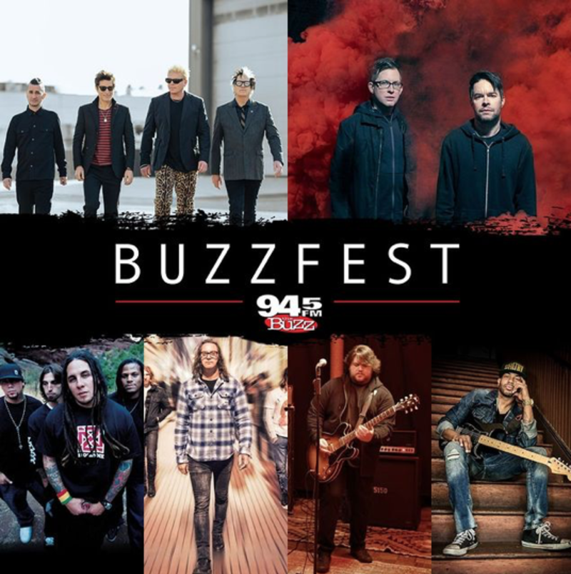 BuzzFest
