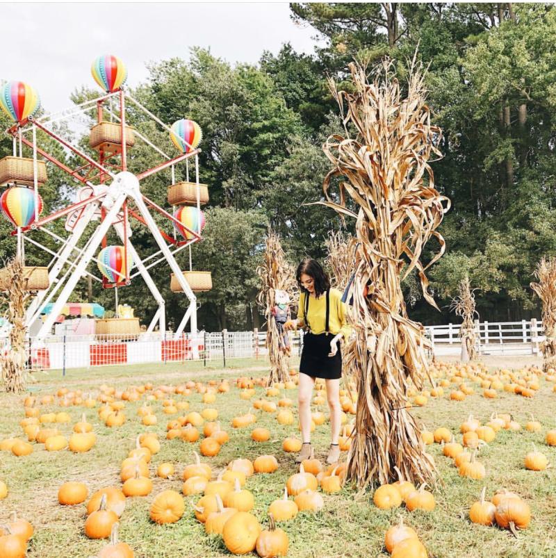 person walking through pumpkin patch with ferris wheel in background