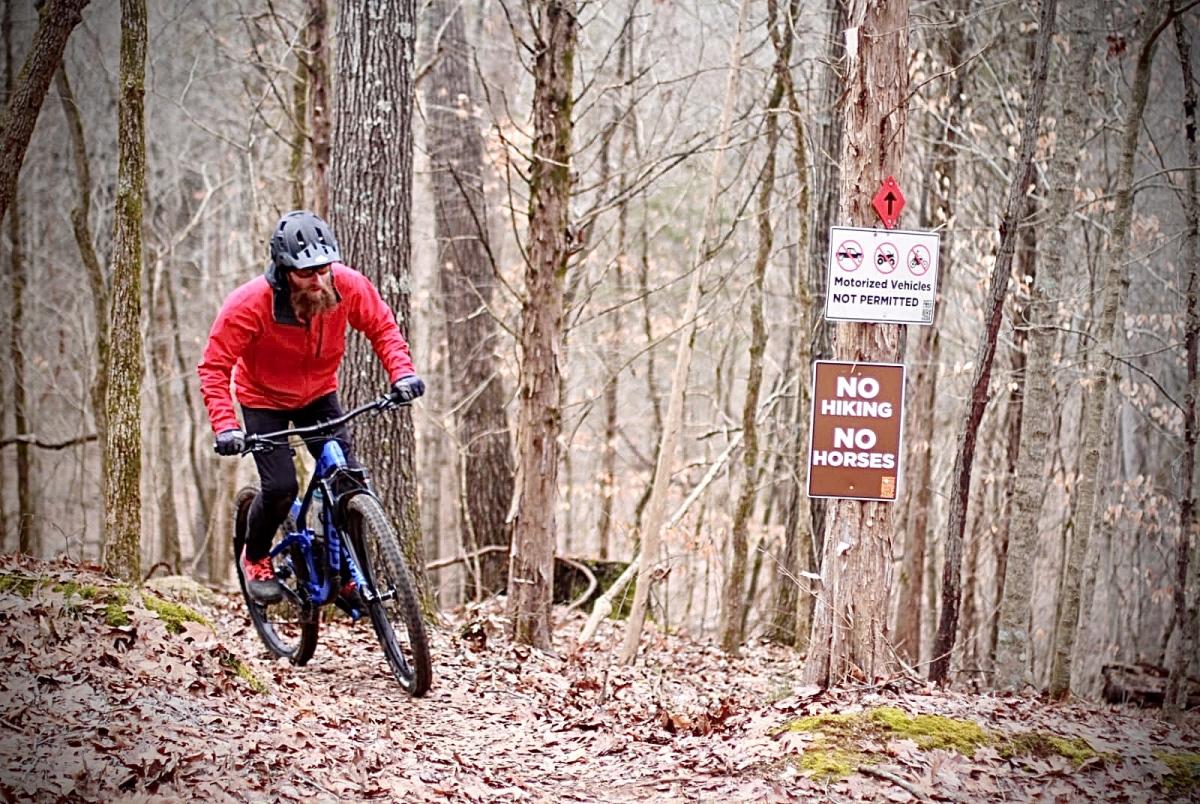 cyclist on a wooded trail