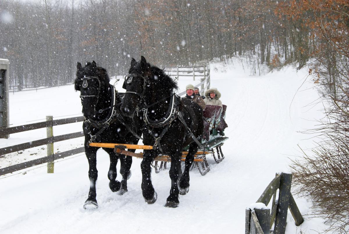 Sleigh Ride