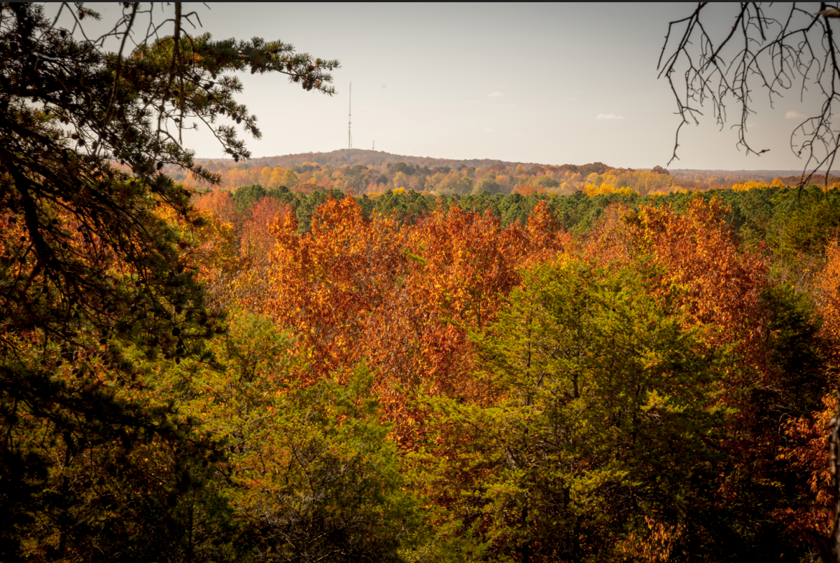 View of fall foliage from mountain overlook